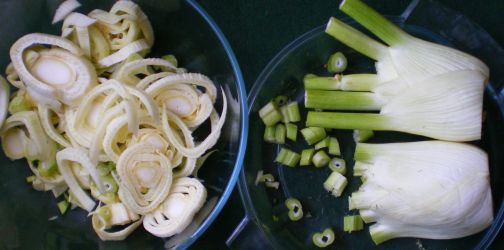 Fennel Fenouil