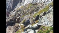 12h18-Cool-Raoul-le-Mouton.jpg