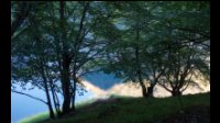 8h55-Hetres-en-contre-jour-lac-Oo-.jpg