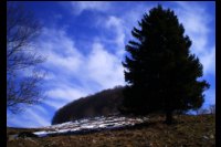 11-Bo-Sapin-1350m.jpg
