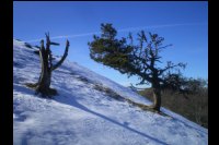 20-Neige-nord-tuc-Arraing-1674m.jpg