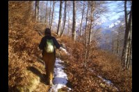 64-Flo-sentier-retour-Foret.jpg
