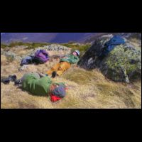 30-Bonne-sieste-Artax.jpg