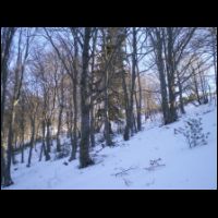 07-soleil-rasant-foret.jpg