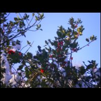 09-bientot-Noel.jpg
