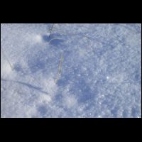 15-grain-neige.jpg