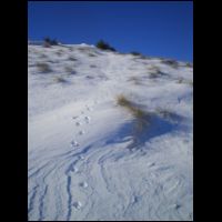 15-trace-hermine.jpg