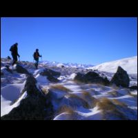 16-1900m-pla-Madame.jpg