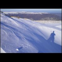 23-hermine-et-ombre-neige.jpg