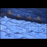 24-Derniers-feux.jpg