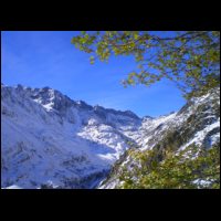 44-Feuilles-vertes-premiere-Neige.jpg