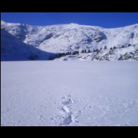 21-Parti-pour-traverser-l-Etang.jpg