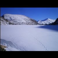 22-Pic-Far-Etang-Majeur-Endron.jpg