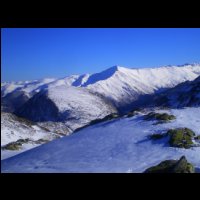 36-Pic-Far-pique-Endron.jpg