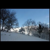 12h32-Caramille-Neige.jpg