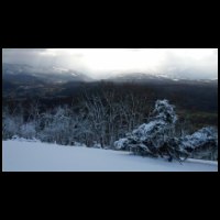 12h33-Caramille-Neige.jpg