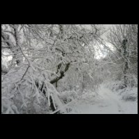 13h07-Quelle-Neige-a-659m.jpg