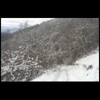 13h20-Bois-Caramille-en-Neige.jpg