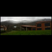 13h41-foret-Caramille-enneigee.jpg