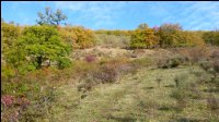 10h53-monter-prairie-seche-ajoncs+chenes.jpg