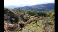 10h56-Raide-montee-pour-Flo.jpg