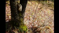 11h11-Drole-de-cairn.jpg