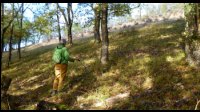 11h21-Foret-finie-Bientot-crete.jpg