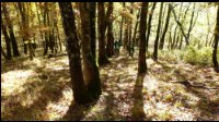 12h22-Descente-de-Montmioul.jpg