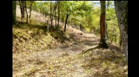 13h04-Descente-col581m-vers-Souleilla.jpg