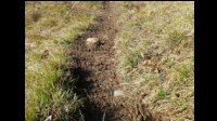 13h06-Traverser-piste-a-moutons.jpg