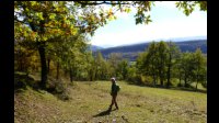 13h13-Route-se-perd-dans-patures.jpg