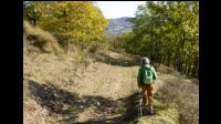 13h14-Route-vien-tracee-dans-le-bois.jpg