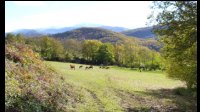 13h22-Limousine-Colline-442m.jpg
