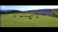 13h25-Symponie-pastorale.jpg