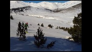 ComadOr004-10h45.jpg