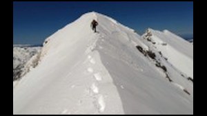 ComadOr025-14h15.jpg