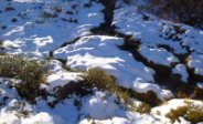 09h57.Premiere-neige-sublime.jpg