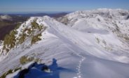 12h27.Col-Morech-RearView.jpg