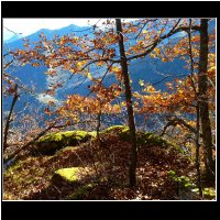 15-fin-d-automne.jpg