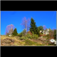 17-Sortie-des-bois.jpg