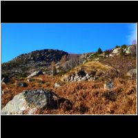 19-Orris-Engescles.jpg