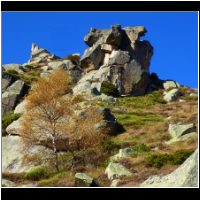 25-Beau-Roc-bonnet-de-Fou.jpg
