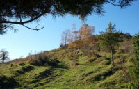 09-Quitter-chemin-monter-pature.jpg