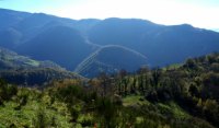13-sombre-foret-Ar.Nord-Mt.Fourcat.jpg