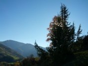 14-Mont-Fourcat.jpg