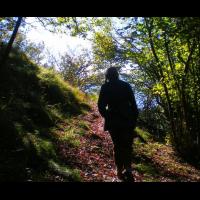 08-Contre-jour.jpg