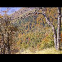 12-Pyrenees-Automne.jpg