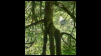 03h26-Drole-de-Giraffe.jpg
