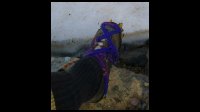 07h41-Crampons-a-l.ancienne.jpg