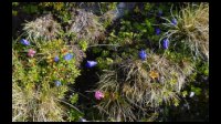 09h23-Jardin.jpg